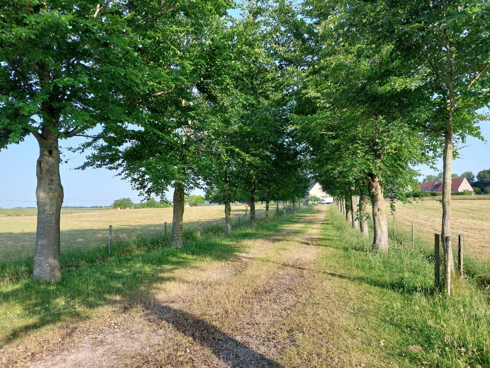 Fermedetoijolle a vendre - Ventes maison - Namur - photo 3