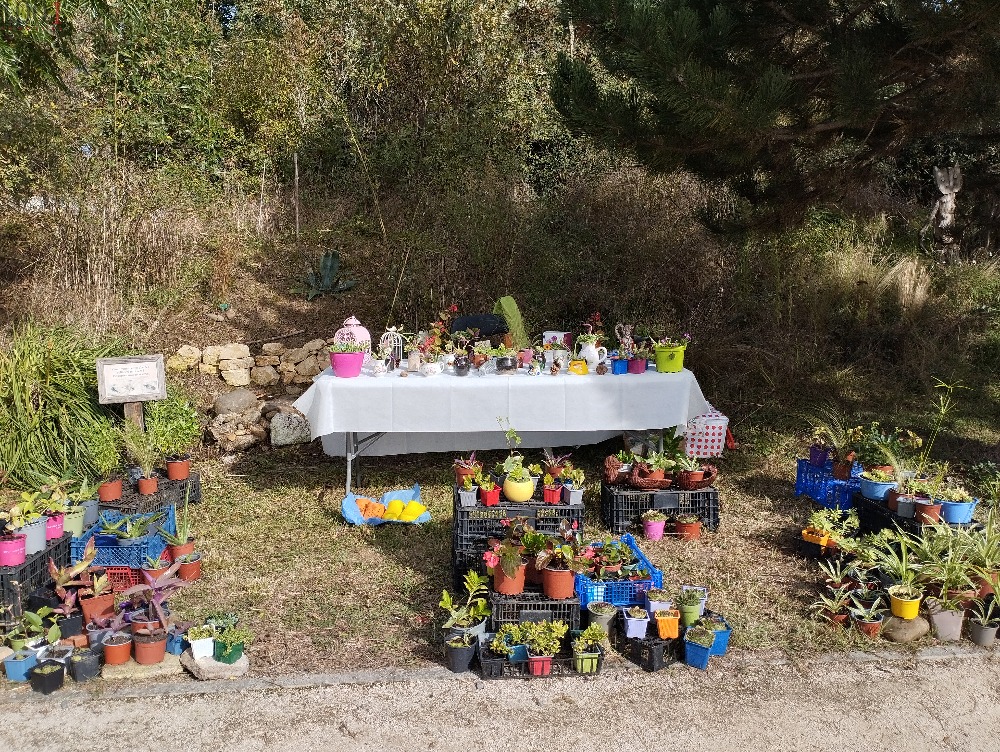 VIDE JARDIN - Brico et jardin - Occitanie - photo 2