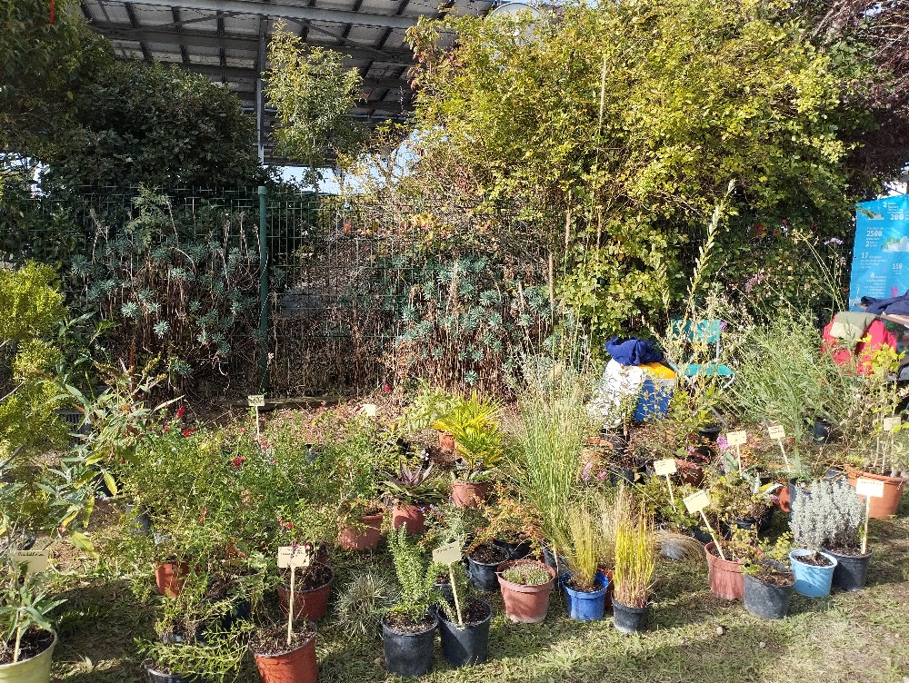 VIDE JARDIN - Brico et jardin - Occitanie - photo 3