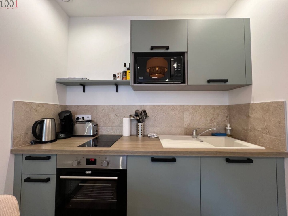 Logement entier pour 2 personnes de 26m² Saint-Étienne - Locations appartement - Auvergne-Rhône-Alpes - photo 2